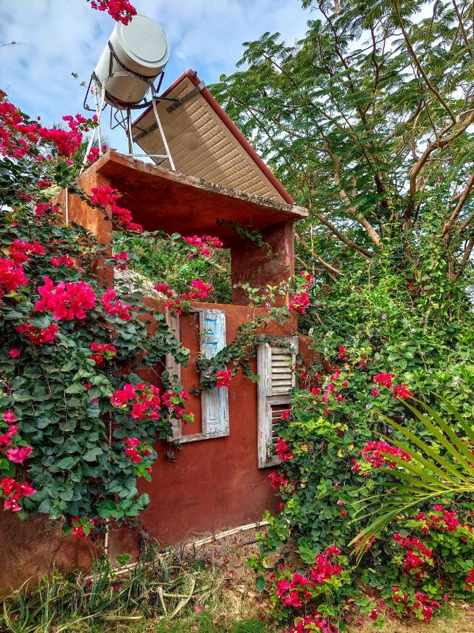 Mondi Lodge Dorp Dorp Sint Michiel Exterior foto